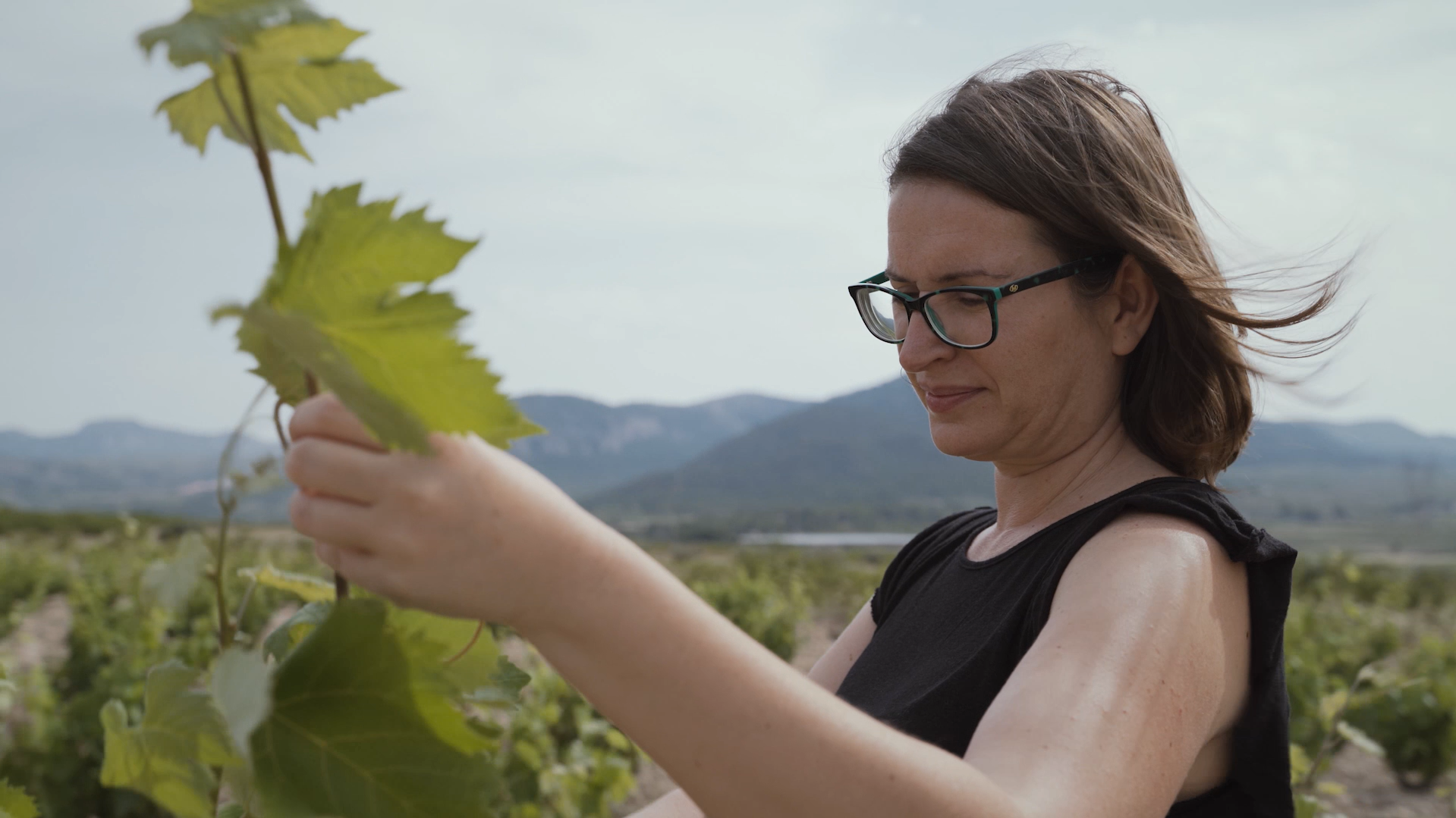 Emprendedores rurales
